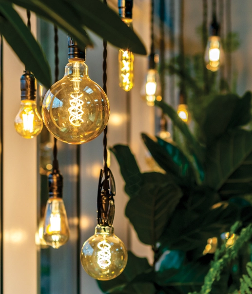 Smart Lighting  Installations in Faridabad