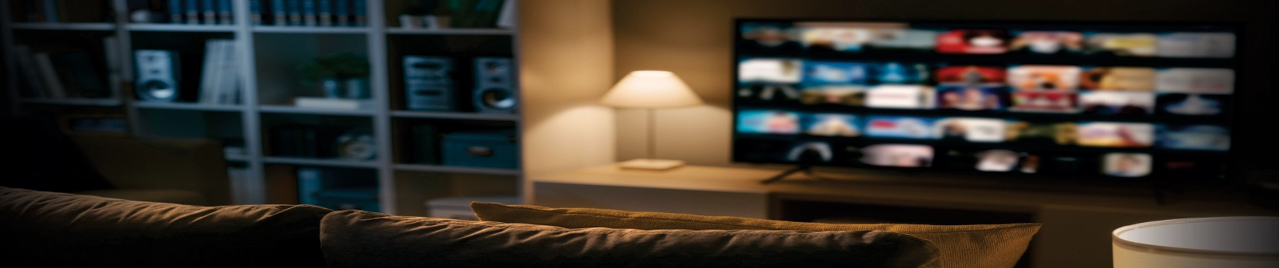 Home Theatre Systems Services in Faridabad