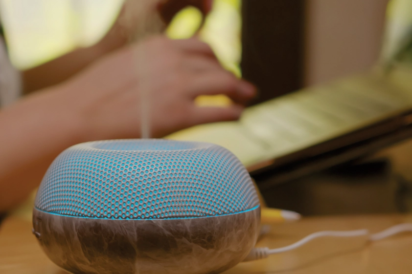 Smart Device with Alexa in Faridabad